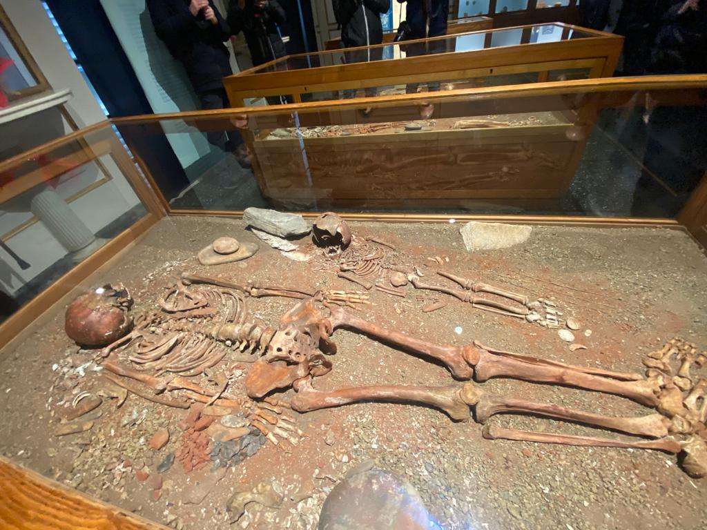 scheletro museo archeologia ligure