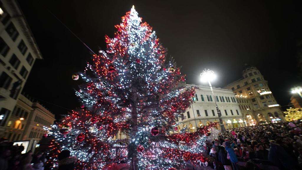 albero deferrari