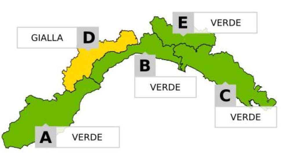 gialla d