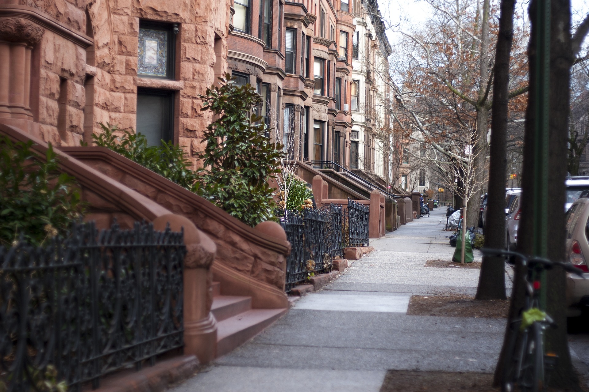 brooklyn strada