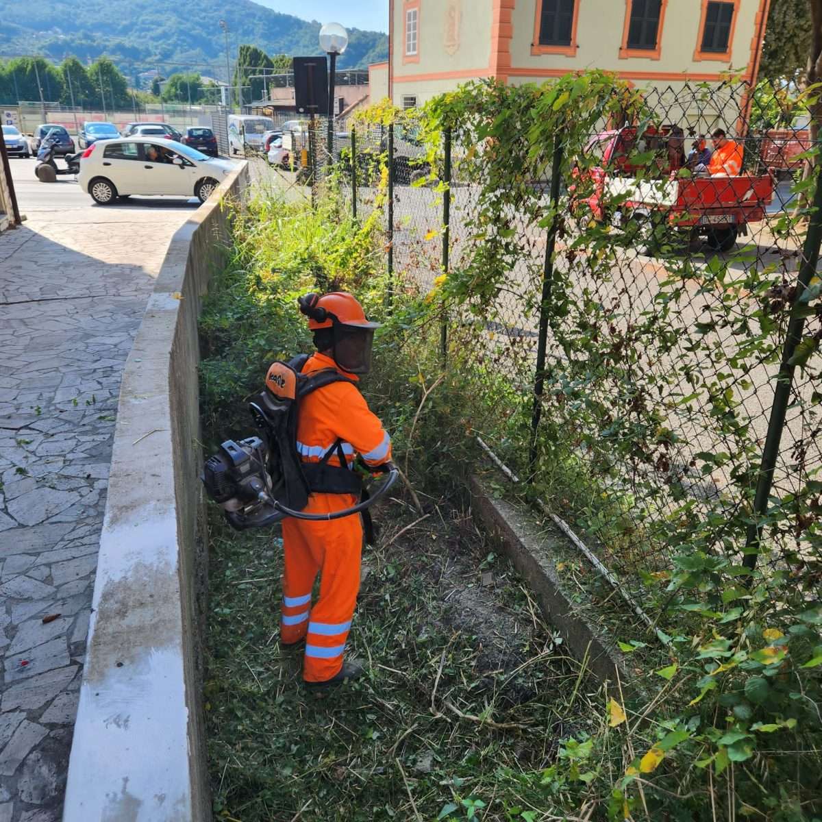 Pulizia rivi