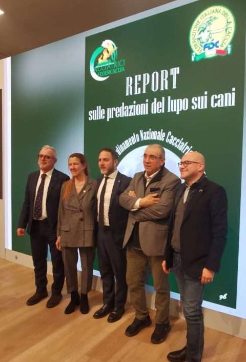 federcaccia