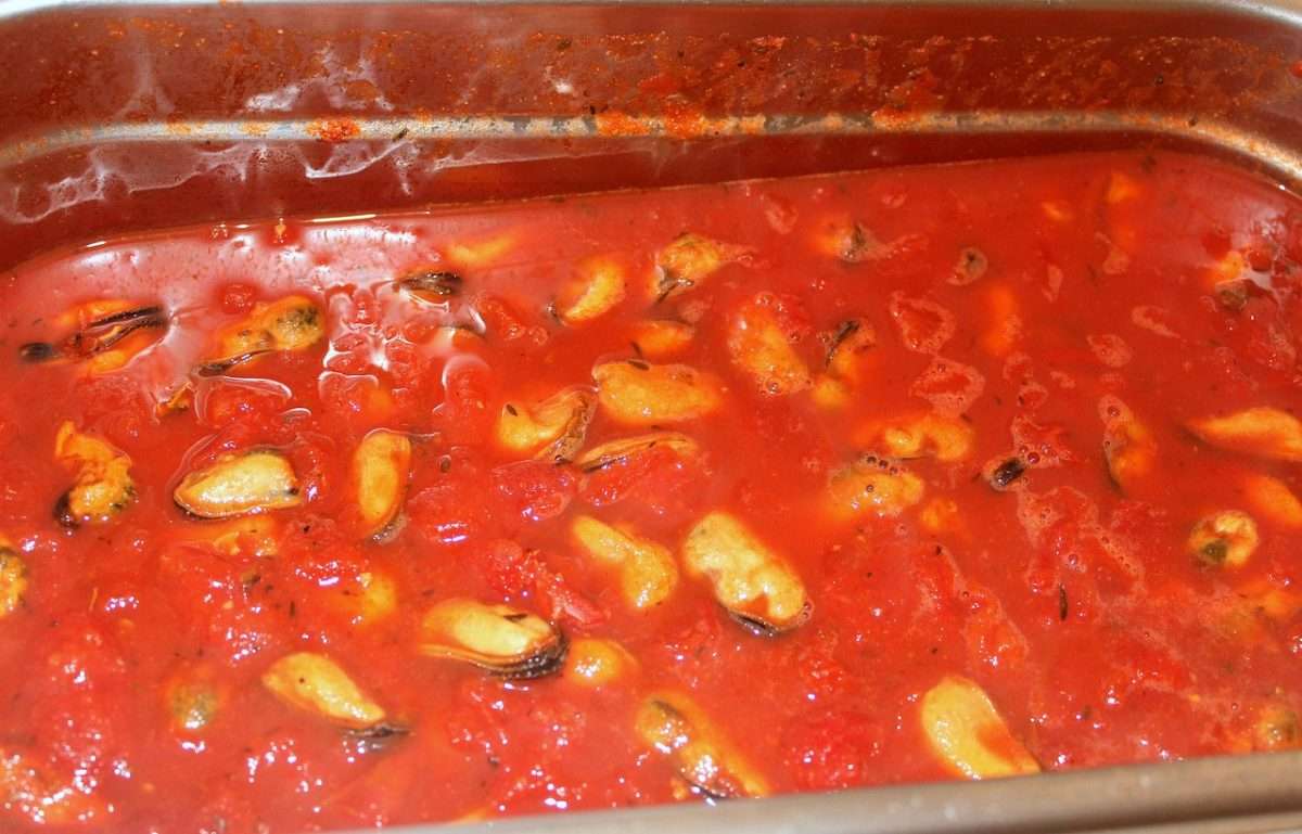 cozze al sugo