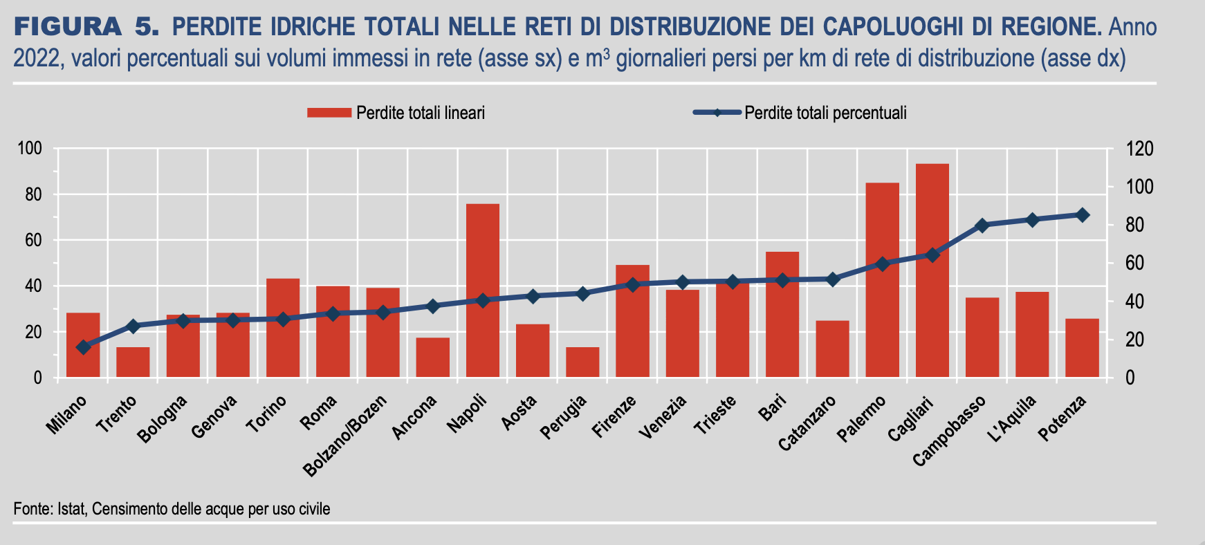 istat dati acqua