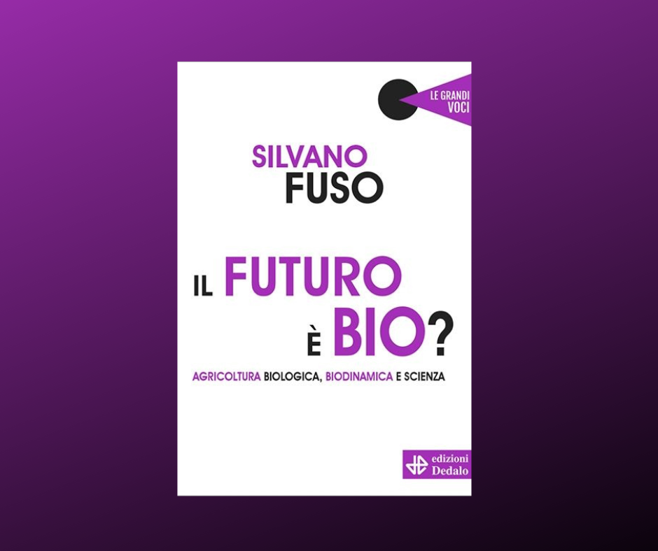 Silvano Fuso