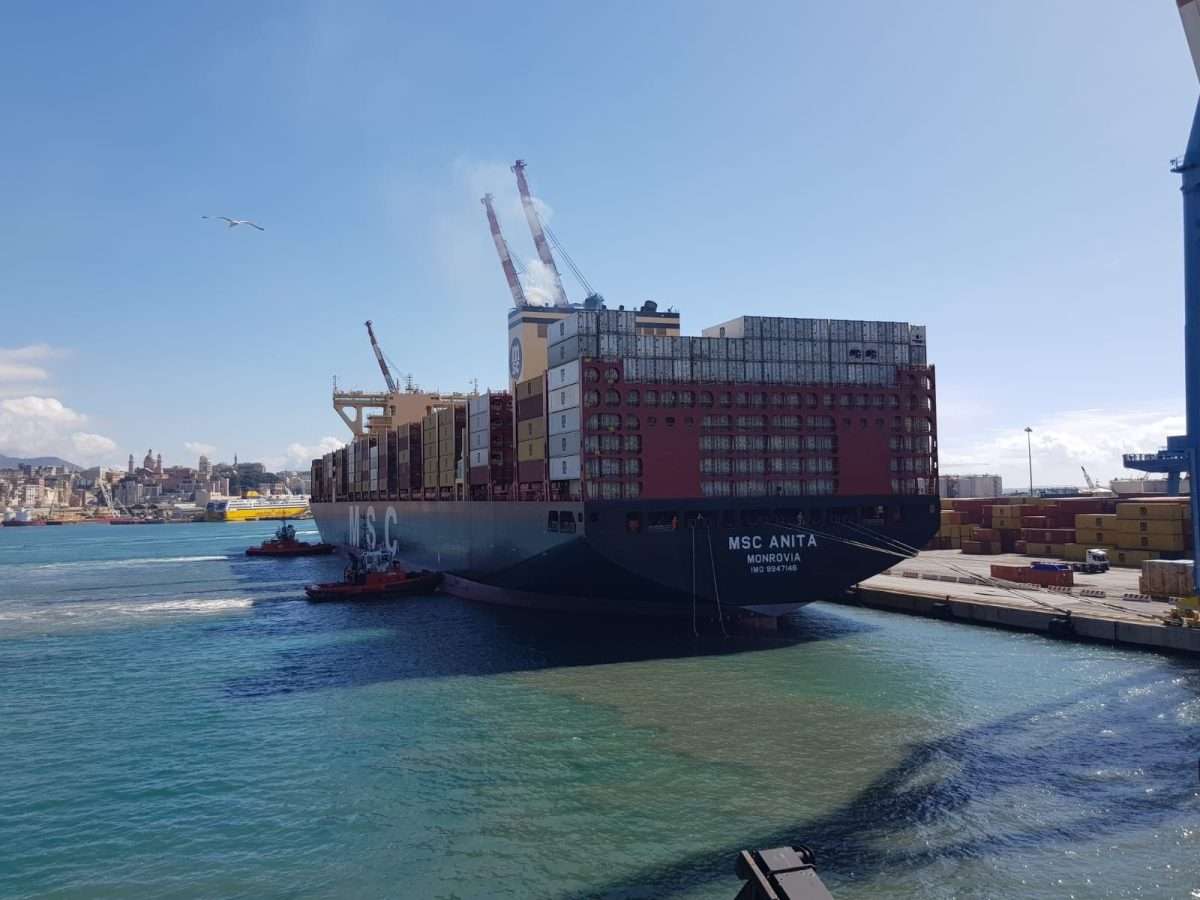 msc anita