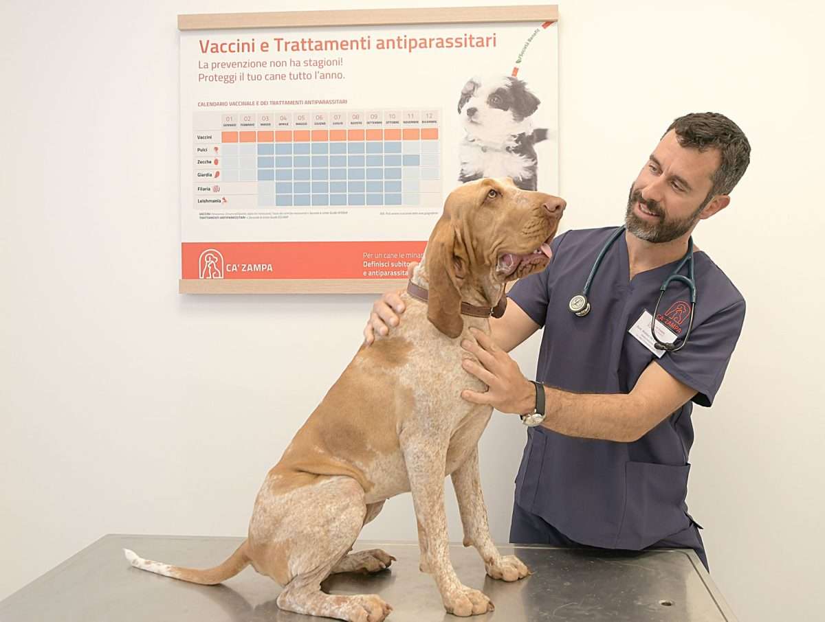 Ca’ Zampa clinica veterinaria