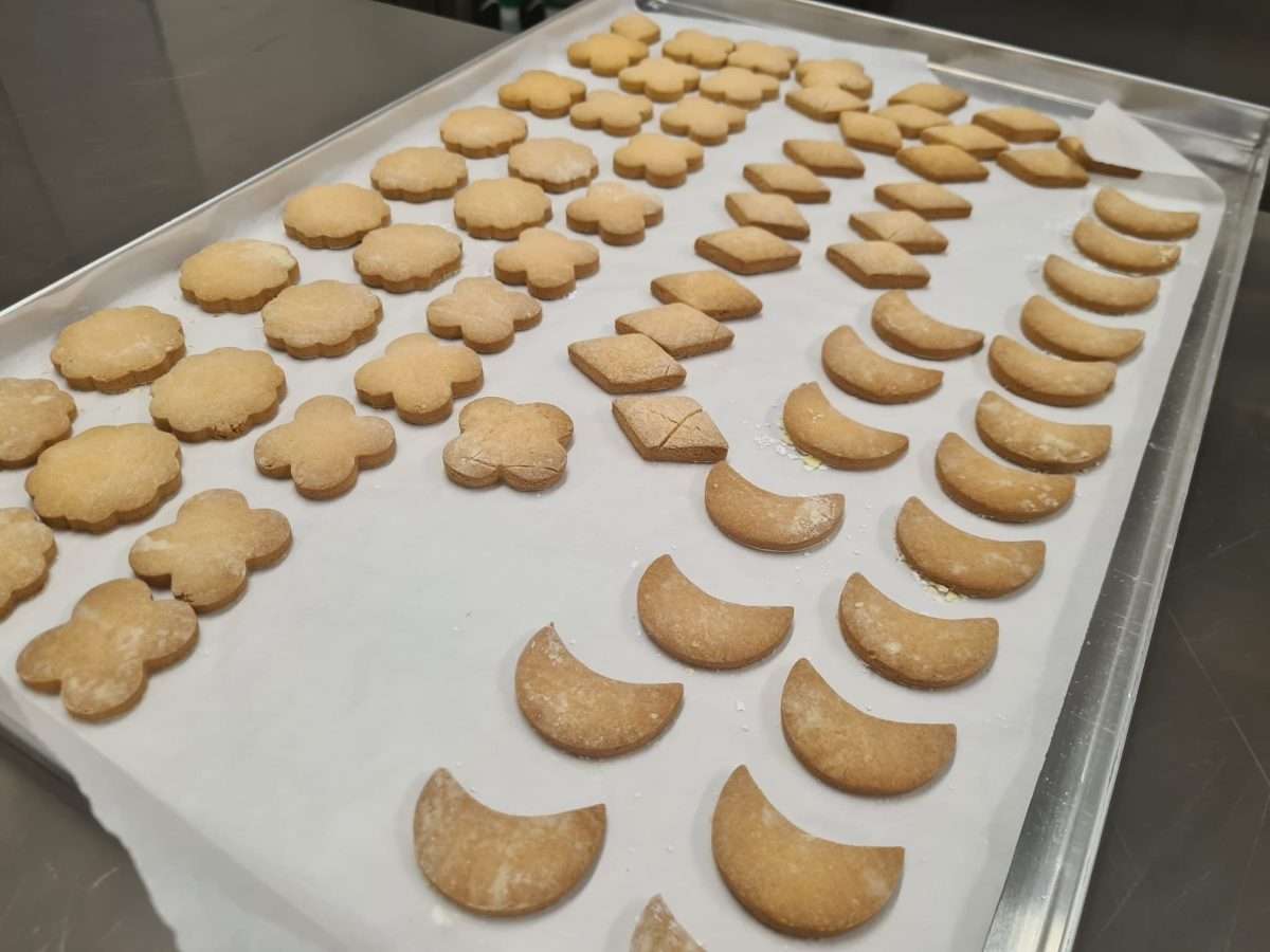 pasticci della tartaruga2