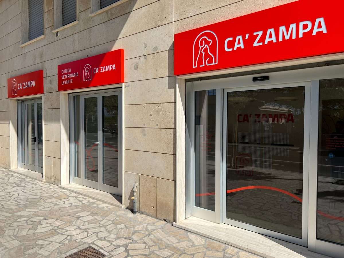 clinica levante ca’ zampa