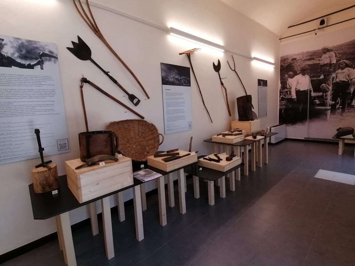 Museo della Certosa