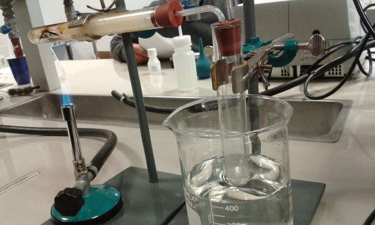 biocarburante biocombustibile