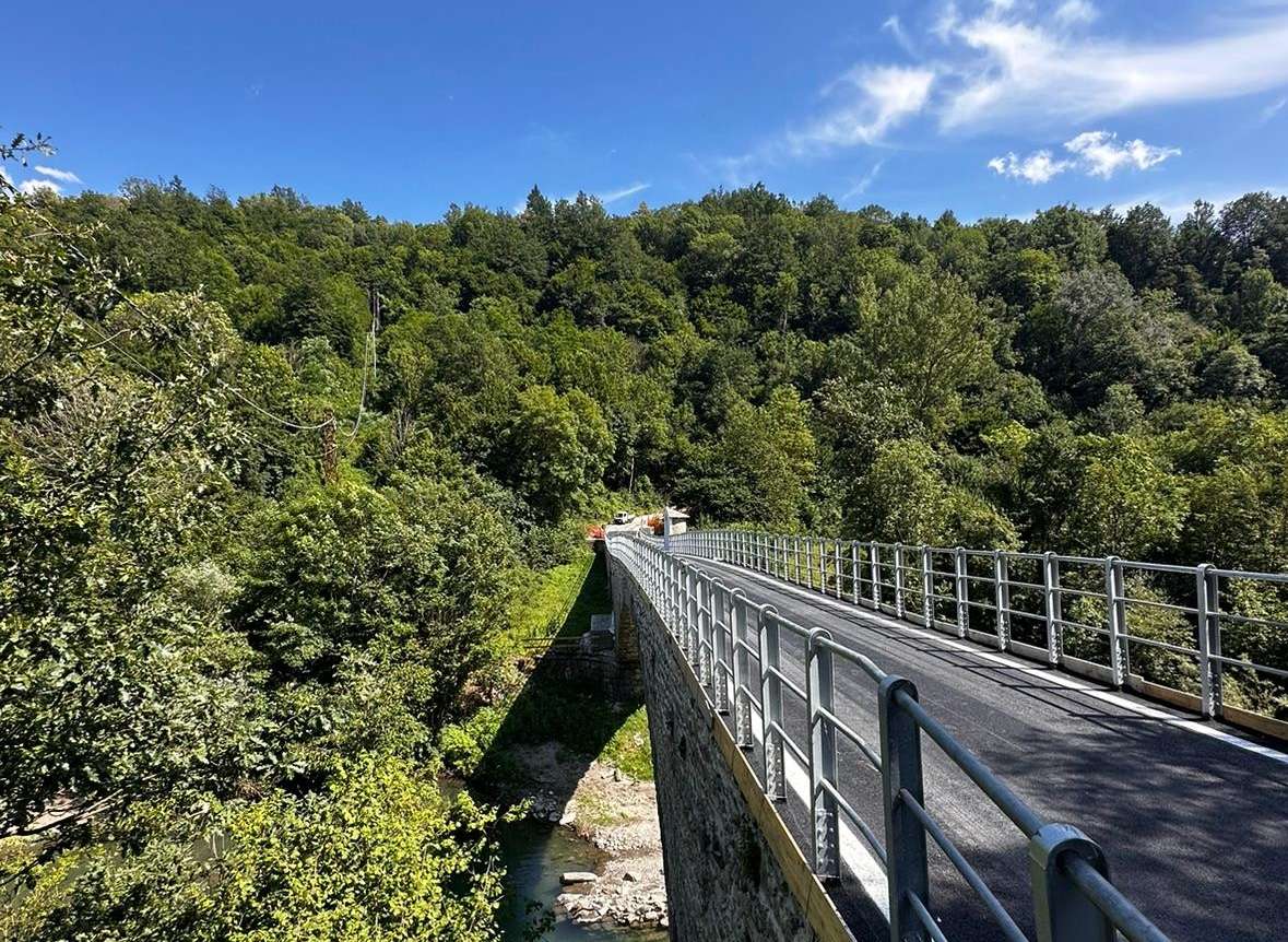Ponte alpepiana 02