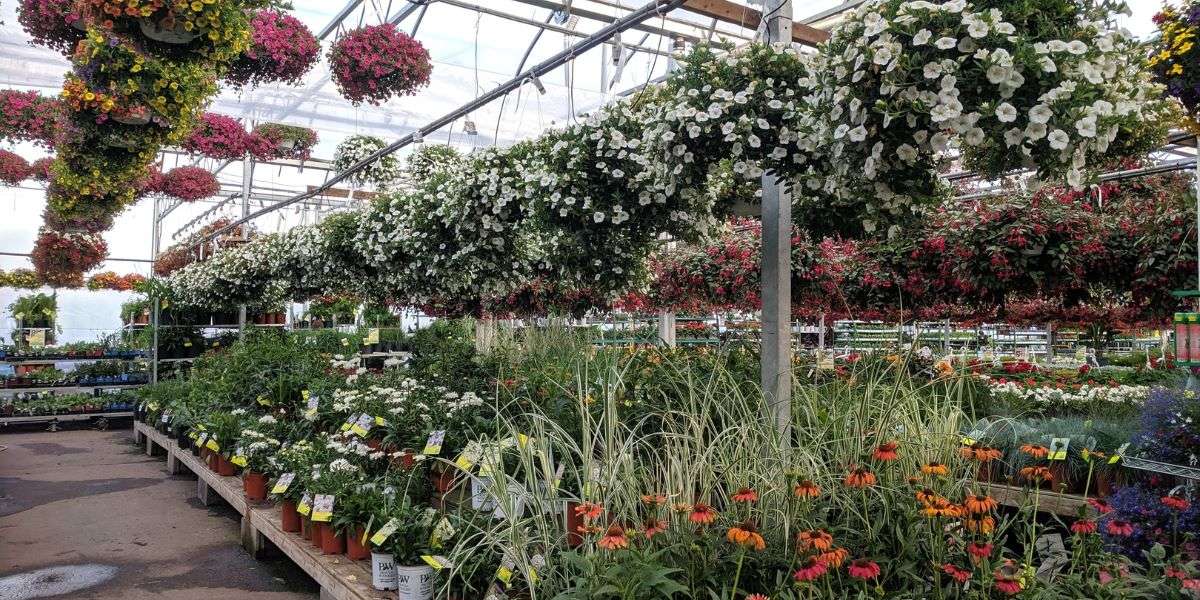florovivaismo legge delega fiori floricultura