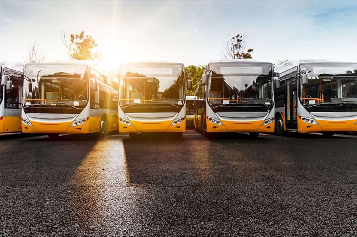 tpl bus autobus