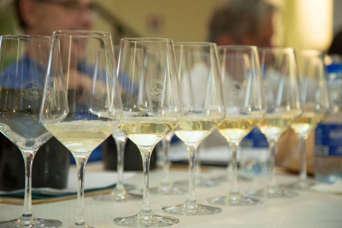 vermentino